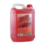 IDEFIX DESODORANTE X 5L CHERRY - ULTRA CONCENTRADO